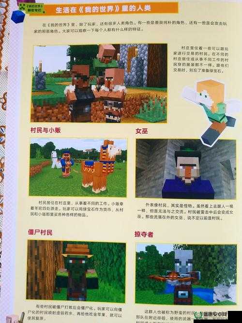 揭秘我的世界:村民头上冒火的5大原因及解决方法全解析